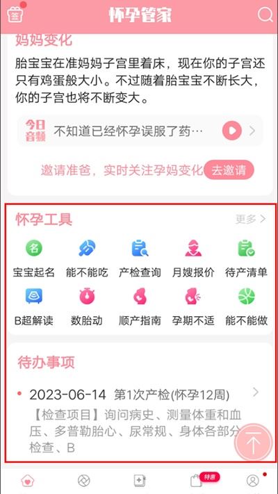 怀孕管家 怀孕管家