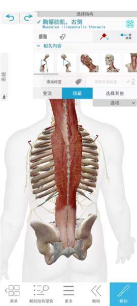 2025人体解剖学图谱破解版软件截图5