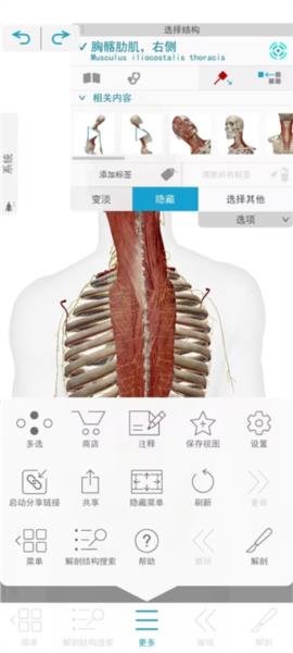 2025人体解剖学图谱破解版软件截图7