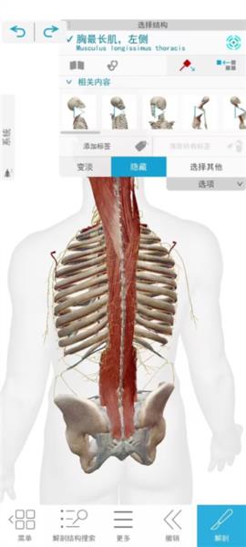 2025人体解剖学图谱破解版软件截图6